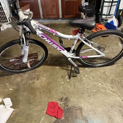 Schwinn Mountain Bike 