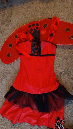 Ladybug Halloween costume