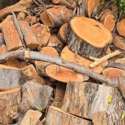 Barter RESOURCES, WOOD, FIREWOOD, PLANTS