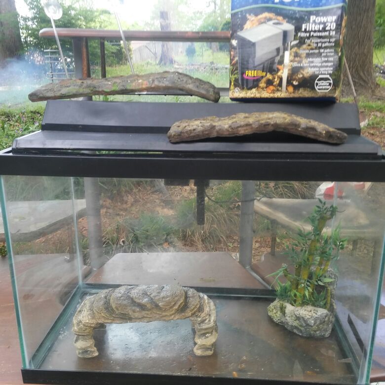 20 gallon fish tank /reptile case