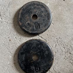 Pancake Weight Plates Pair Of 5lb 