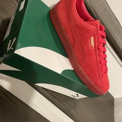 Brand New Puma $75 Size 10