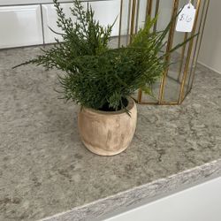 Faux Plant $4