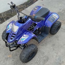 TAOTAO TAO TAO ATV 110 