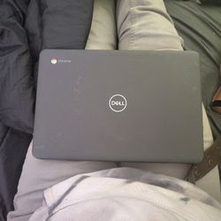 Dell Chromebook 3100
