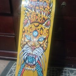 new skateboard deck