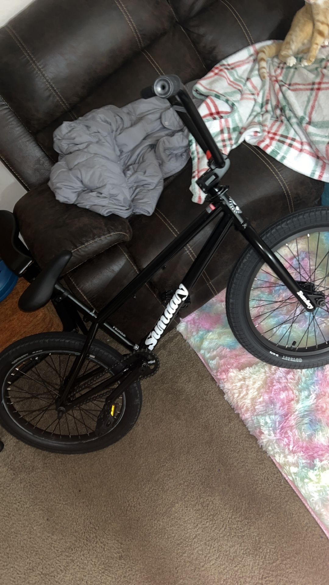 Bmx Sunday
