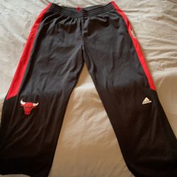 Chicago Bulls Men’s L Adidas Warm-ups