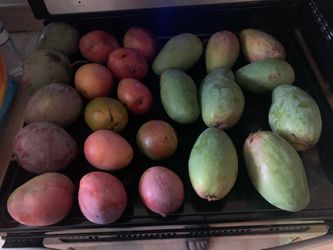 Mango 🥭 2 types