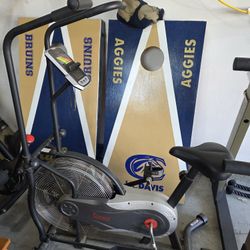 Sunny Health Bike Fan
