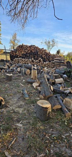 Split & Seasoned Firewood