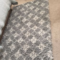 Carpet or Rug for small area