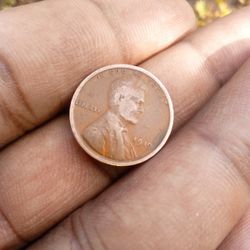 1919 Collectable  In The World 