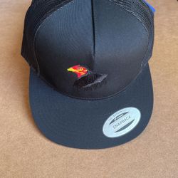 Roster SnapBack Hat $20 Each