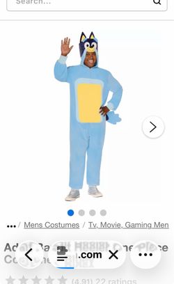 Bluey’s Mom and Dad costume