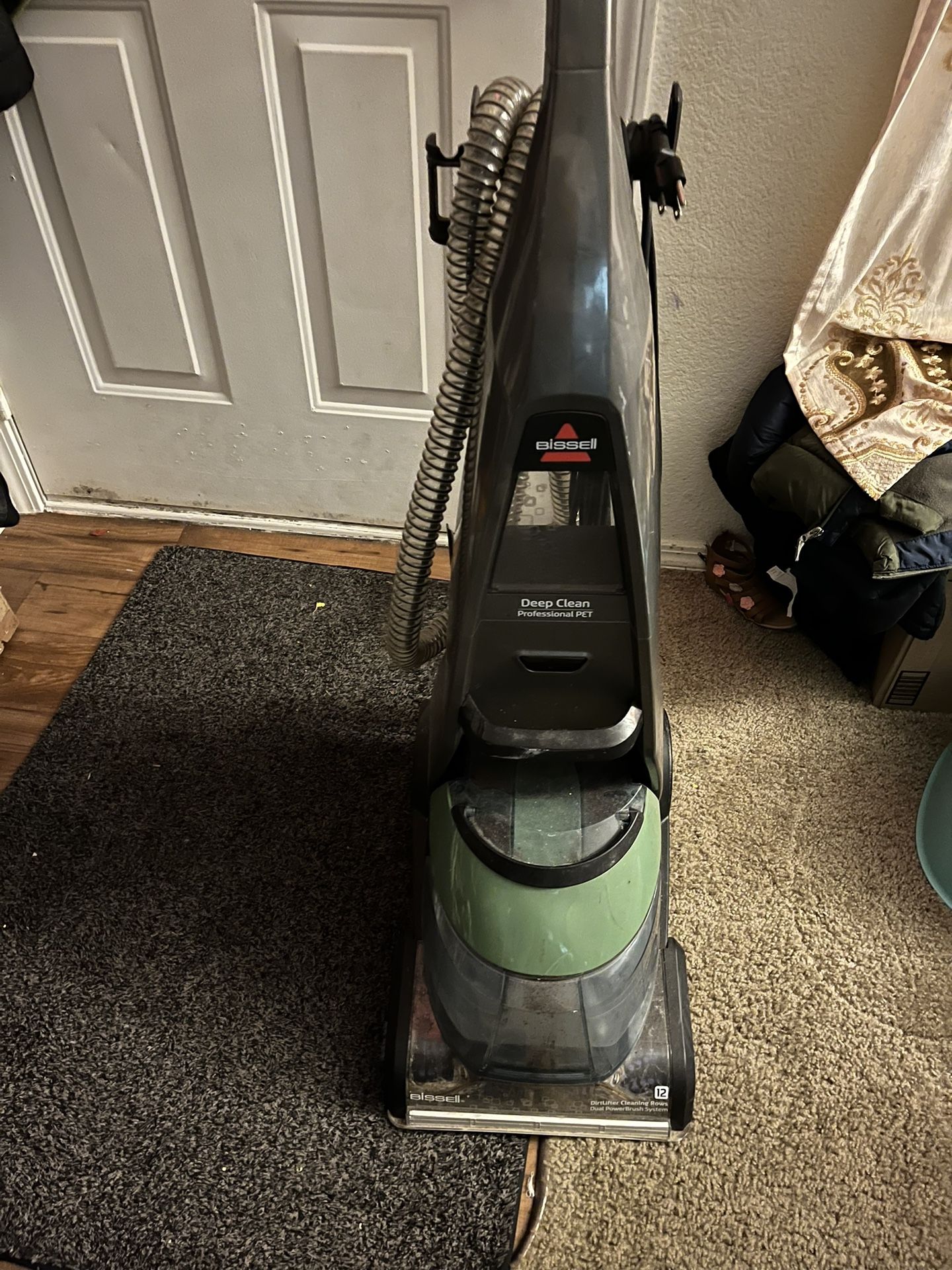 BISSELL Deep Clean ProHeat 2X Professional Pet Carpet Cleaner 