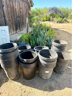 Pots 1,2,3,5,15 gallons