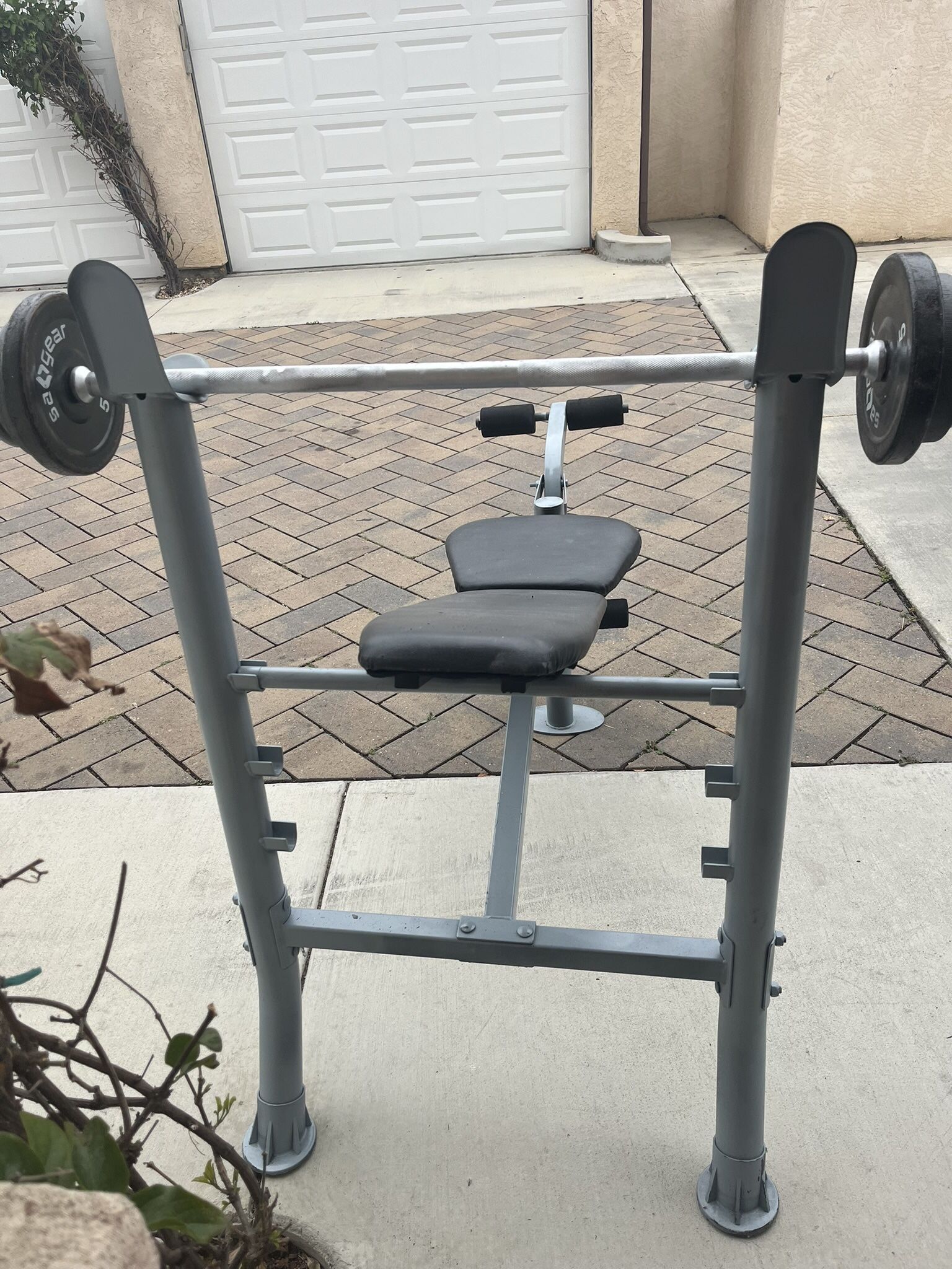 Bench Press With Bar And Weights