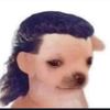 Ruppert 