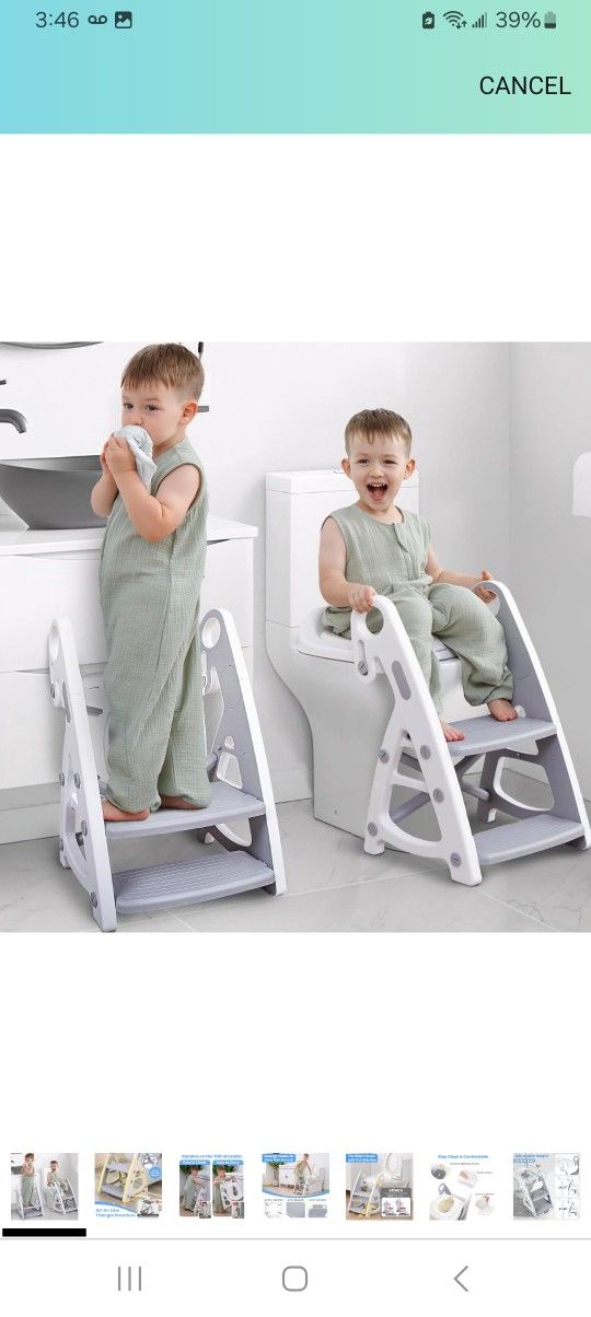 Potty Training Seat With Step Stool $20