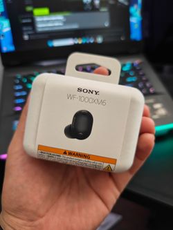 Sony WF-1000XM6 earbuds