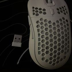 Mouse Not Free Give Me A Offer