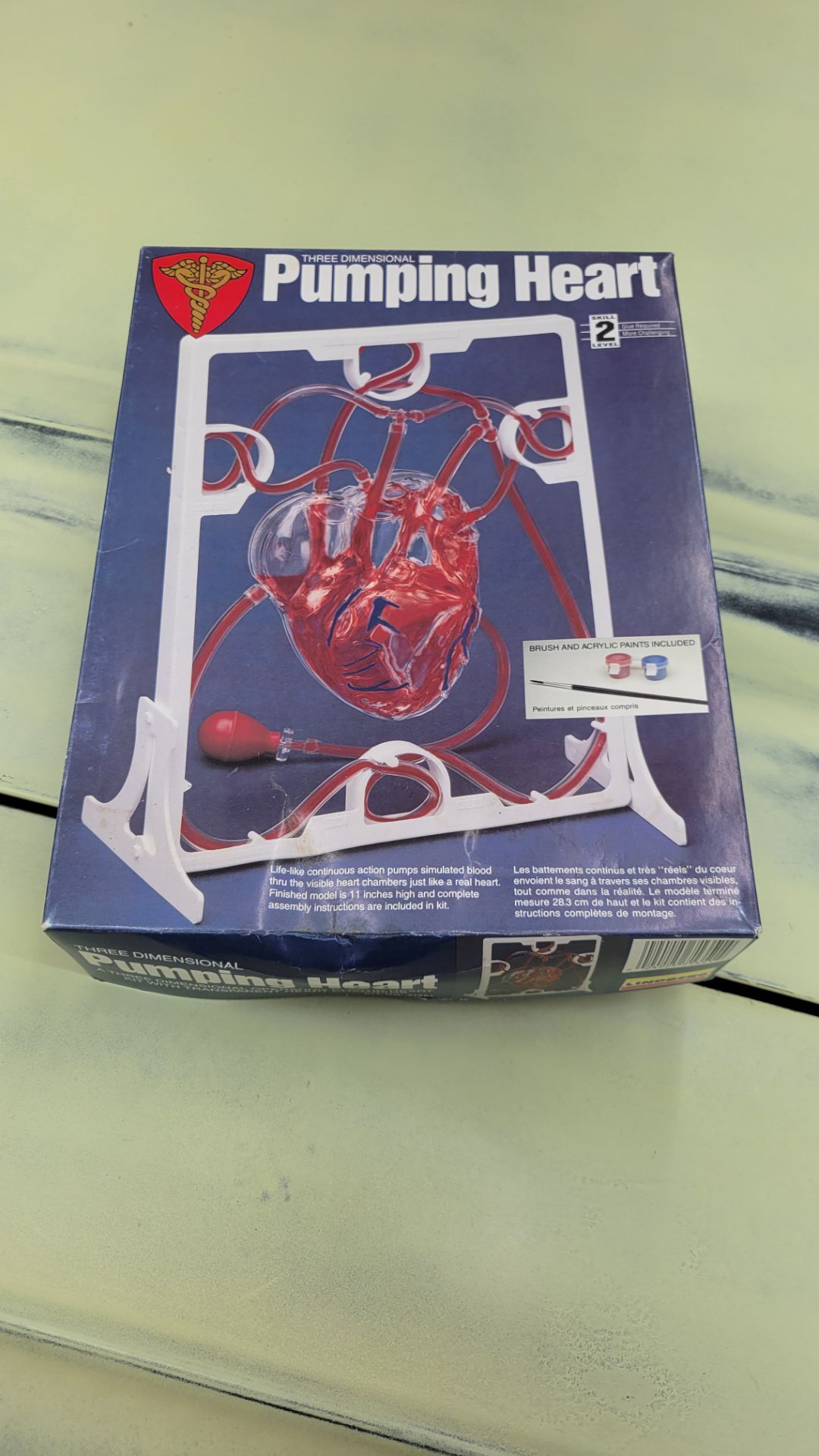 heart model new