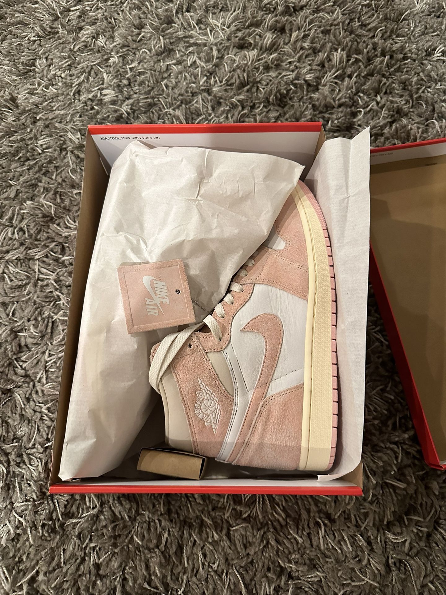 Air Jordan 1 Washed Pink W12/M10.5 DS 10/10