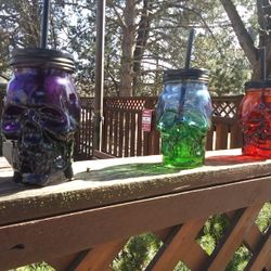 Glass Skull Tumblers