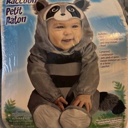 Raccoon Costume