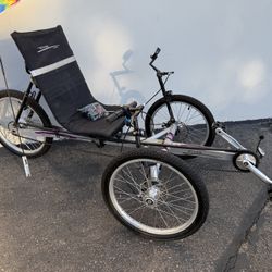 3 Wheel Bike - The Rover by TerraTrike