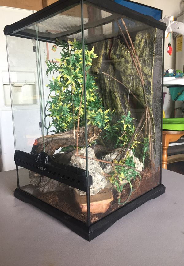 Lizard tank for Sale in Fairfield, CA OfferUp