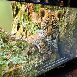 Samsung TV crystal uhd u8000f 55 inch 2025 model