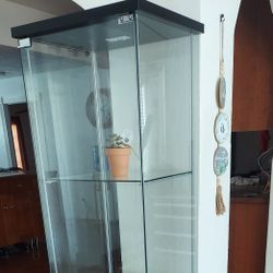 Glass Display Cabinet