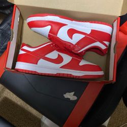 Nike Dunks Low Retro