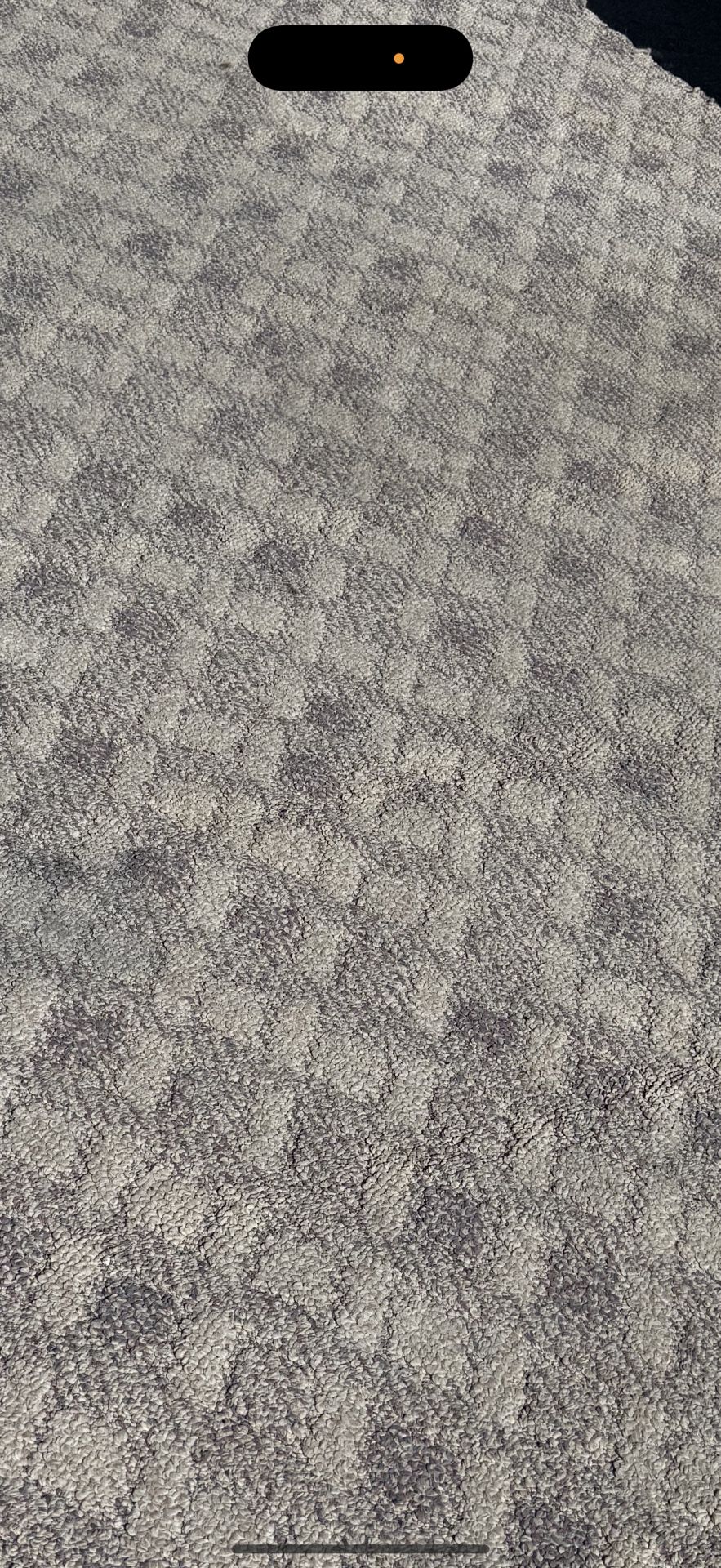FREE : Carpet Remnants Room Size