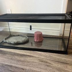 Reptile Tank