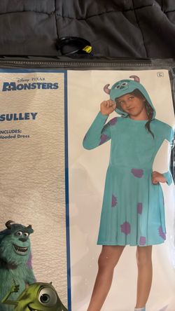 Monsters inc Sulley costume