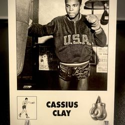 🔥CASSIUS CLAY