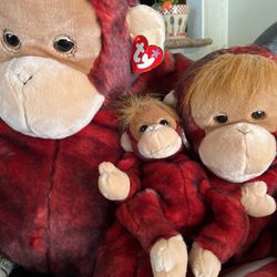 Orangutan Family 