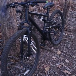 Schwinn Mountian Bike