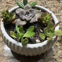 Teacher Appreciation Gifts