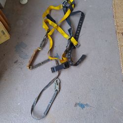 Safety harness