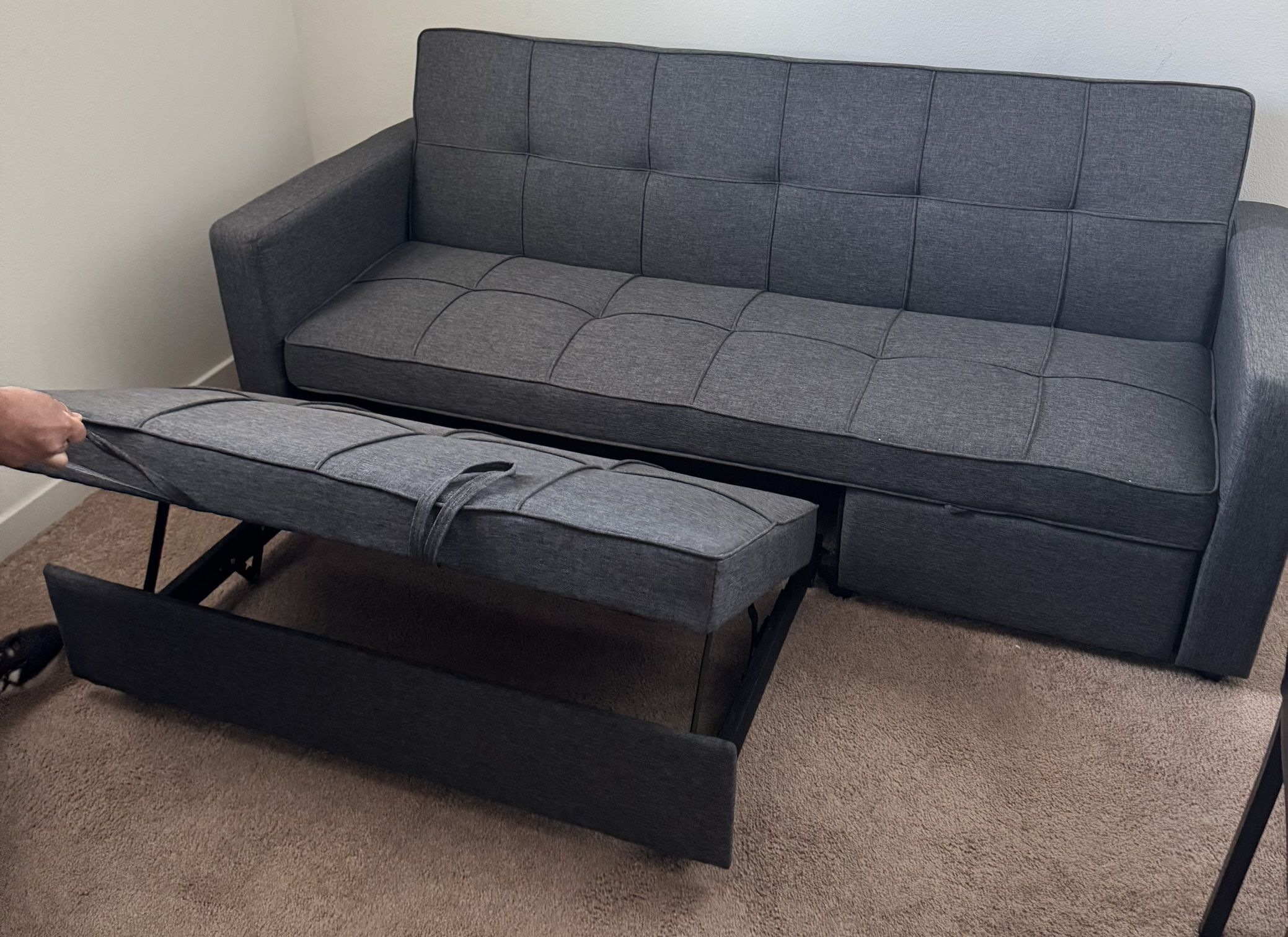Couch Love Seat Fold Out Bed