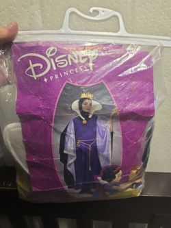 Disney Princess Evil Queen Halloween Costume