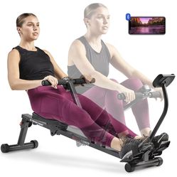 Sunny Health &Fitness SF-RW1205 Hydraulic Rowing Machine