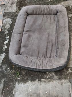 Large dog bed