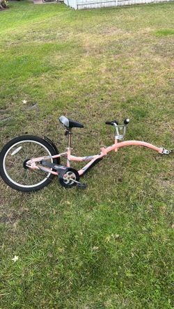 Bike trailer cycle