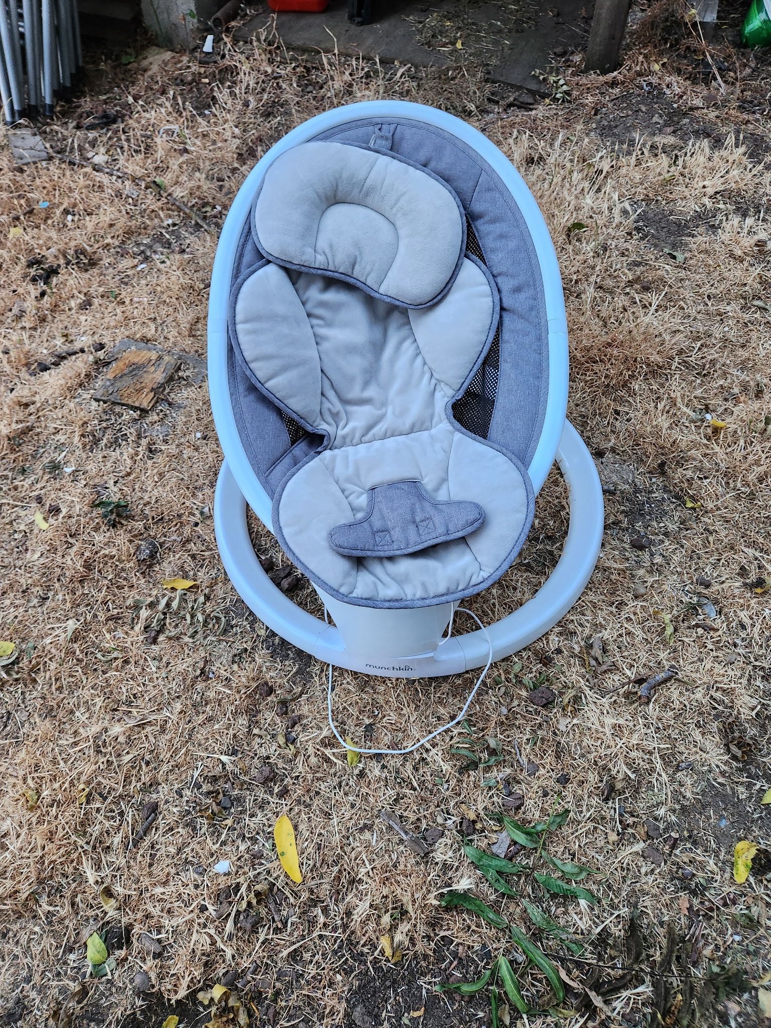 Baby Swing