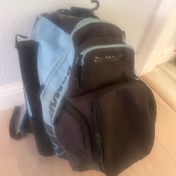 Demarini baseball bag